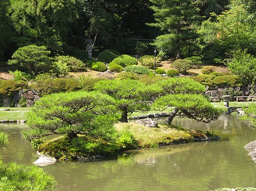 Seattle Japanese Garden Discover Nikkei