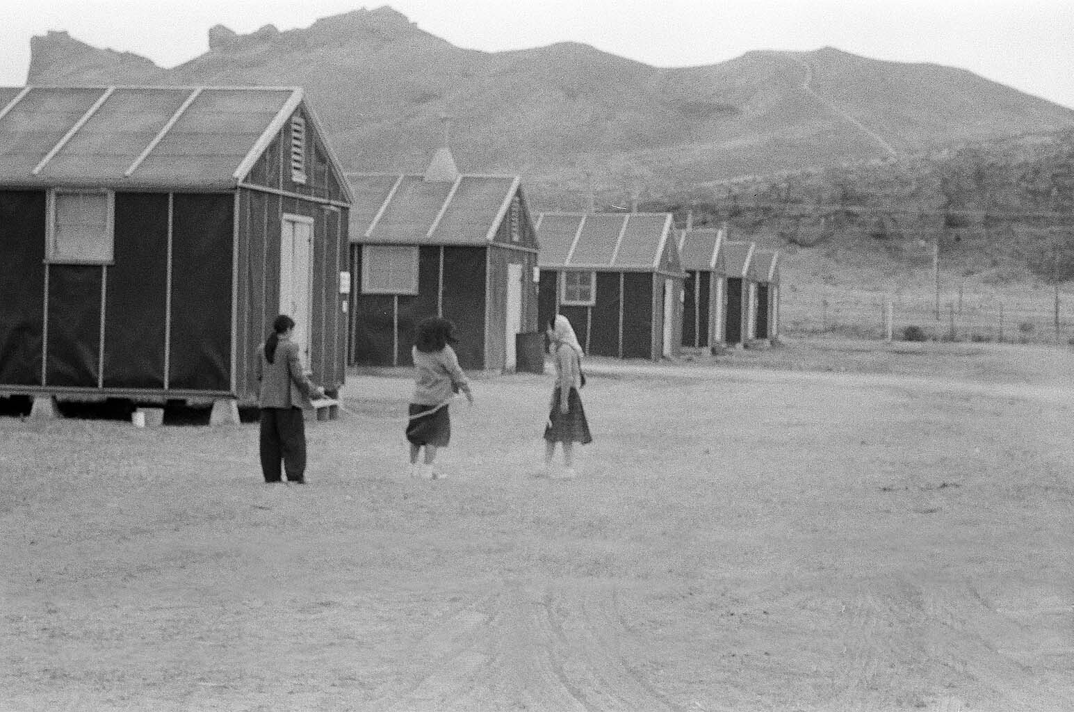 Farewell to manzanar book review essay